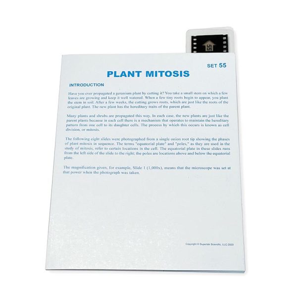 Supertek Microslide, Plant Mitosis, 35mm