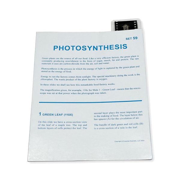 Supertek Microslide, Photosynthesis, 35mm