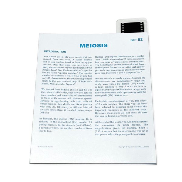Supertek Microslide, Plant Meiosis, 35mm