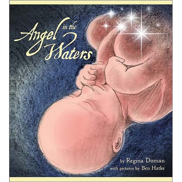 Sophia Institute Press Angel In The Waters