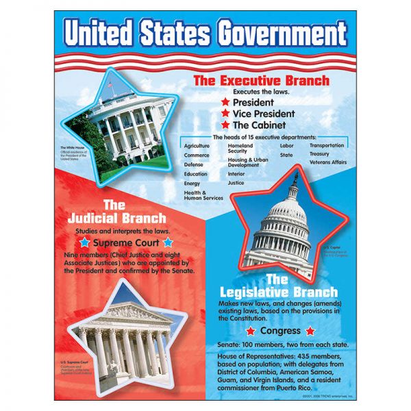 TREND United States Government Learning Chart, 17" x 22"