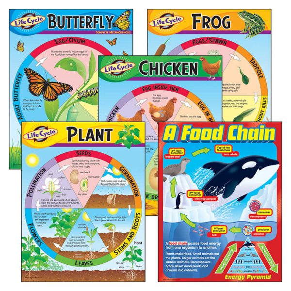 TREND Life Cycles Learning Charts Combo Pack, Set of 5