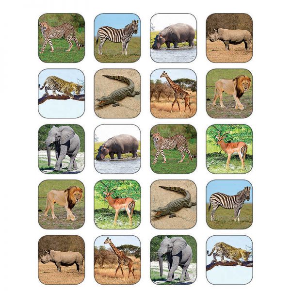 Teacher Created Resources Safari Animals Stickers