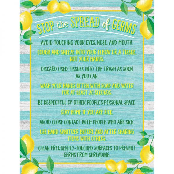 Teacher Created Resources Lemon Zest Stop the Spread of Germs Chart, 17" x 22"