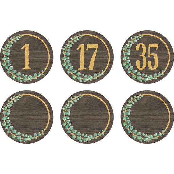 Teacher Created Resources Eucalyptus Numbers Magnetic Accents, 2-1/4", Pack of 42
