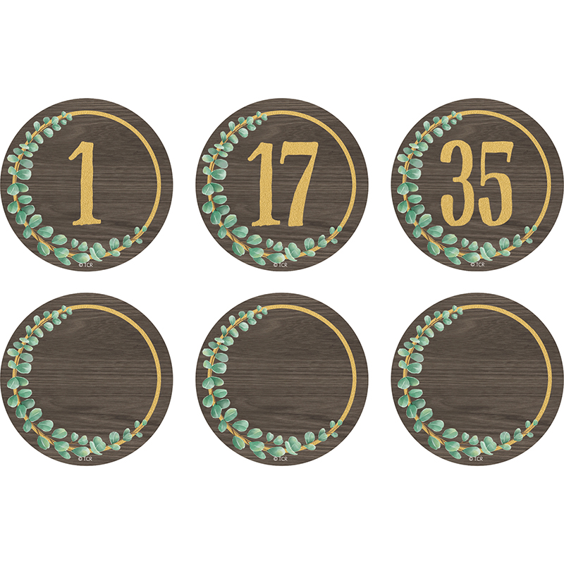 Teacher Created Resources Eucalyptus Numbers Magnetic Accents, 2-1/4″, Pack of 42