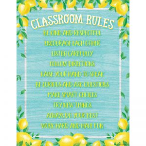 Teacher Created Resources Lemon Zest Classroom Rules Chart