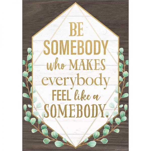 Teacher Created Resources Be Somebody Who Makes Everybody Feel like a Somebody Positive Poster, 13-3/8" x 19"