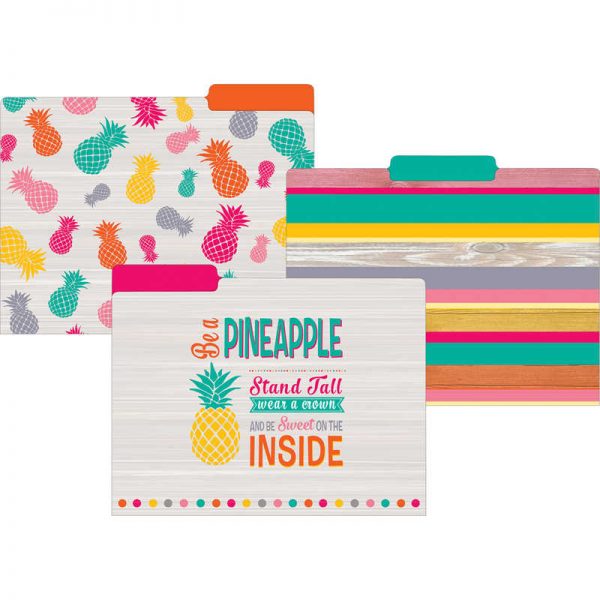 Teacher Created Resources Tropical Punch File Folders, Letter Size, Pack of 12