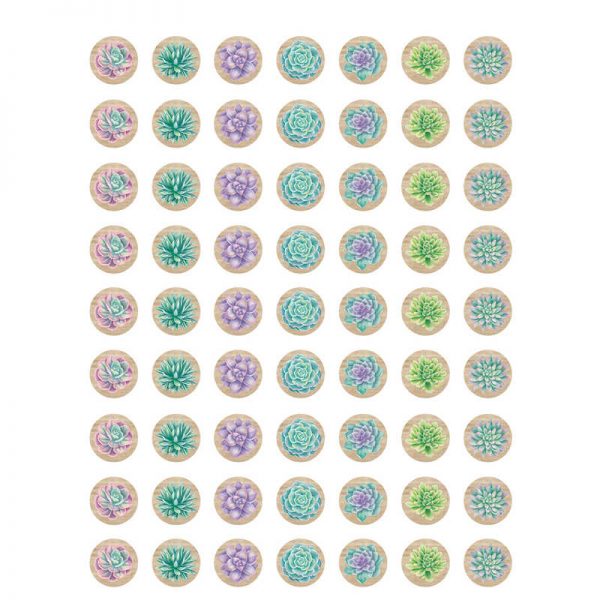 Teacher Created Resources Rustic Bloom Succulents Mini Stickers, Pack of 378