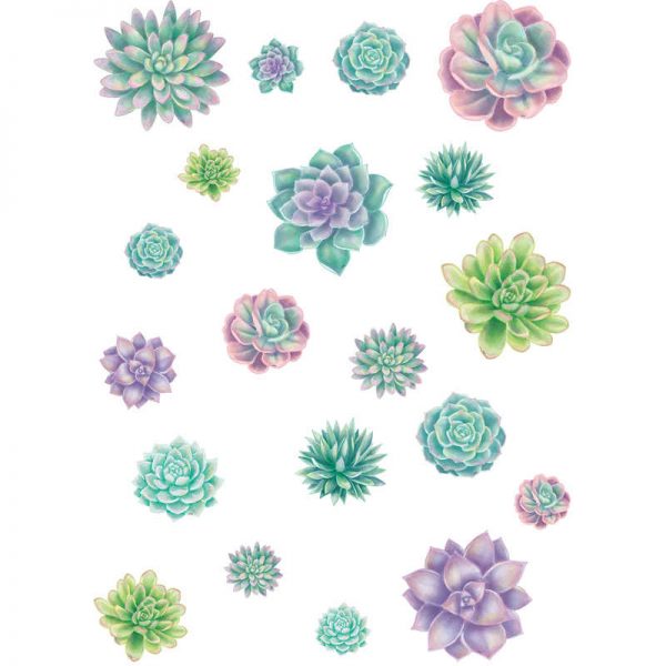 Teacher Created Resources Rustic Bloom Succulents Accents - Assorted Sizes