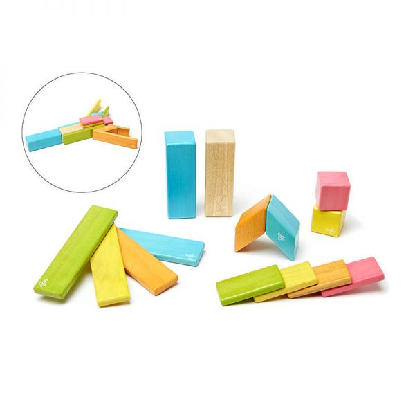 Tegu 14-Piece Set in Tints