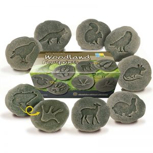 Yellow Door Let's Investigate Woodland Footprint Stones, Set of 8