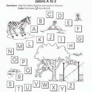 Zebra A to Z by School Specialty Publishing  – SSP0769633307