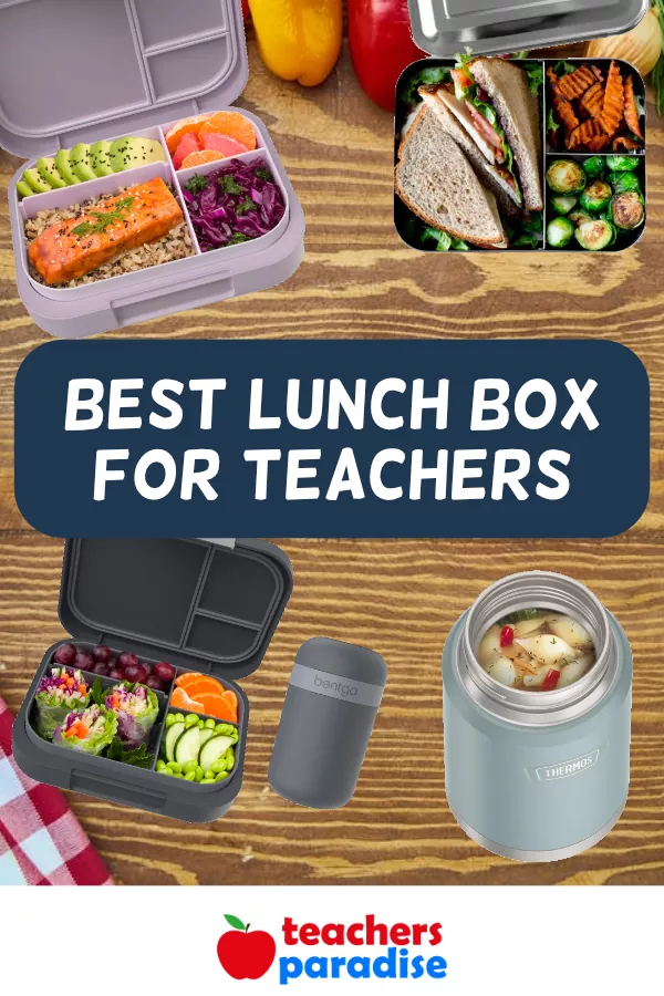 Best Lunch Box for Teachers - TeachersParadise