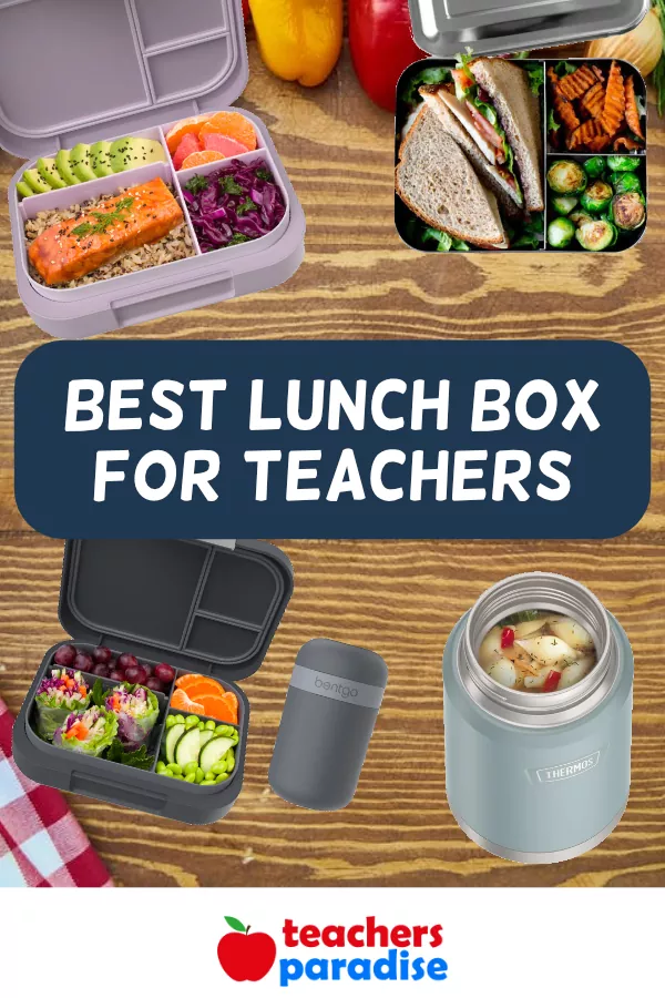 Bento Box Benefits  Discover the Advantages of Bento Lunch Box Containers  - PackIt