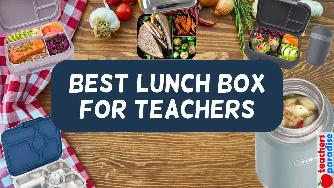 Best Lunch Box for Teachers - TeachersParadise